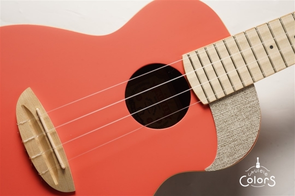 aNN-UC10 - Living Corral